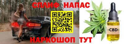 ешки Сланцы