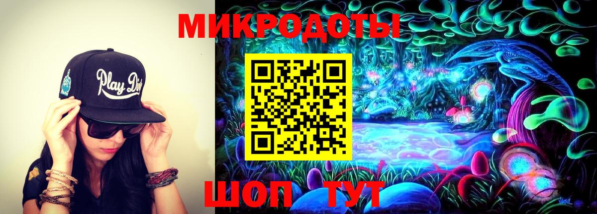 Псилоцибиновые грибы MAGIC MUSHROOMS Осинники