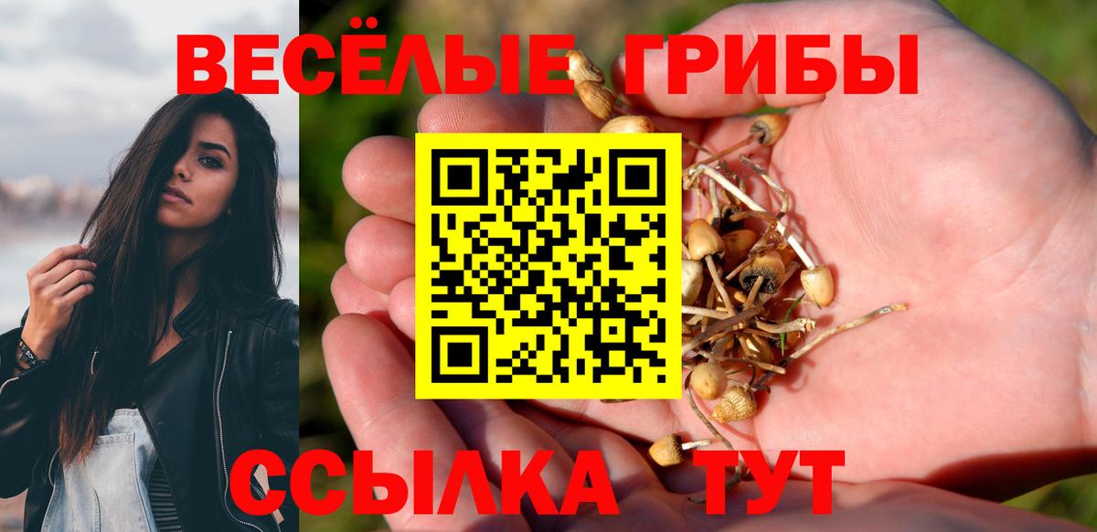 Галлюциногенные грибы Psilocybine cubensis  Вход с VPN  Осинники  Псилоцибиновые грибы ЛСД 